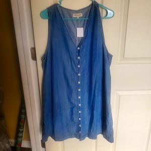 Madewell NWT Chambray Sleeveless Button Down Dress